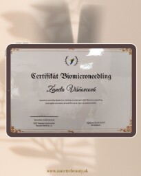 SQT - biomikroneedling